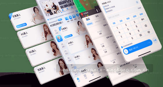 访问入口的核心概念是什么